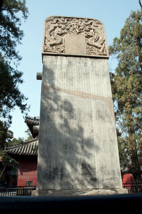 DSC_0447.jpg