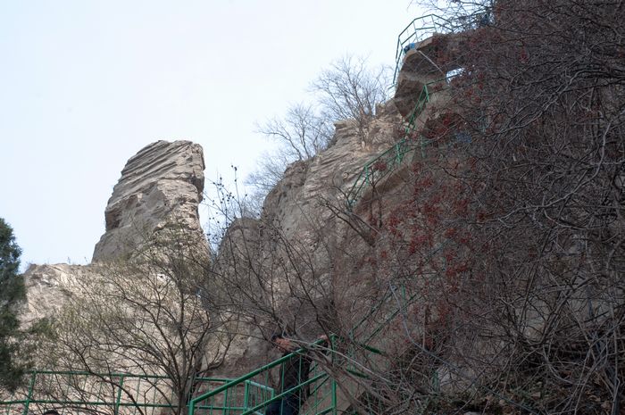 DSC_0796.jpg