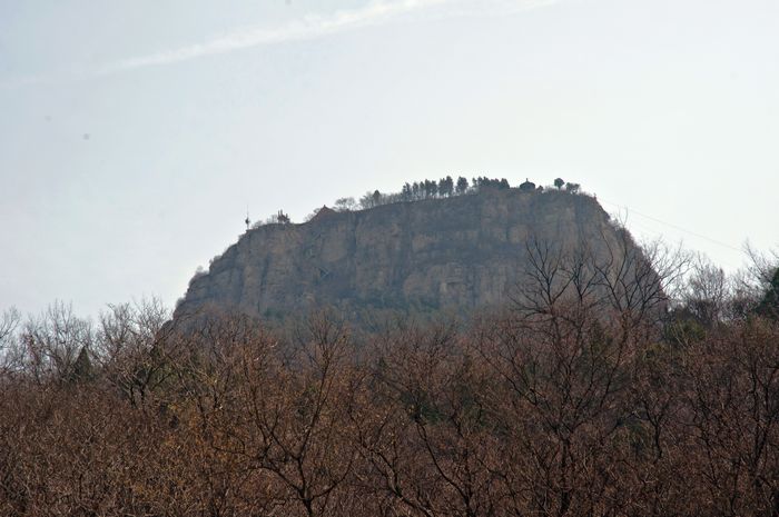 DSC_0780.jpg