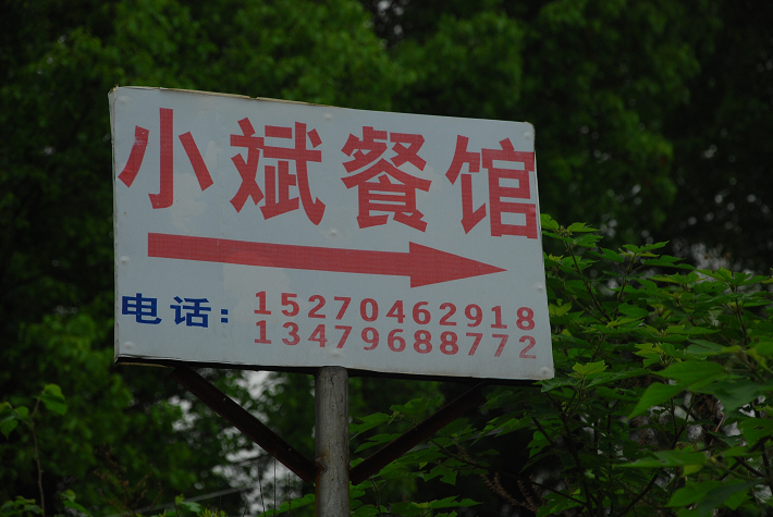 DSC_4772.jpg