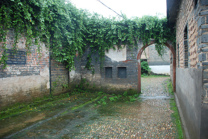 DSC_4905.jpg