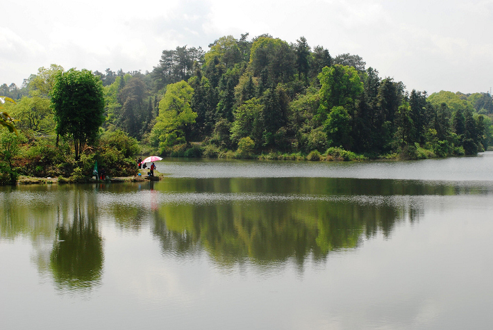DSC_4985.jpg
