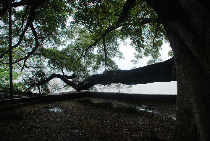 DSC_4927.jpg