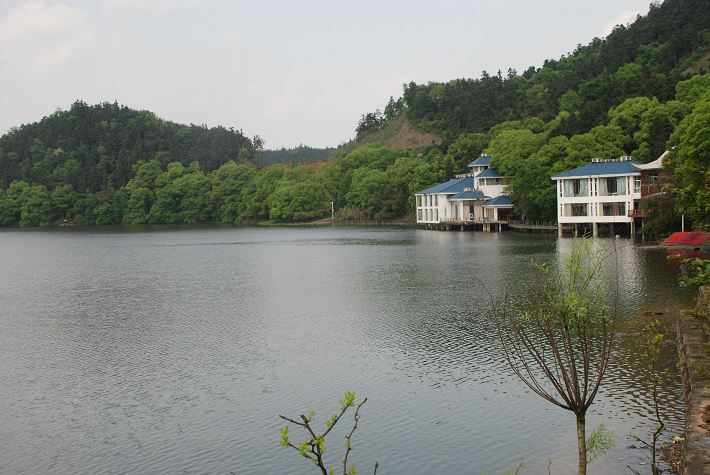DSC_4989.jpg