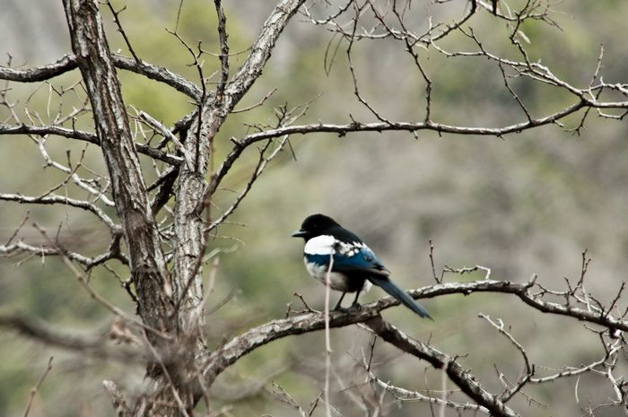 DSC_0263.jpg