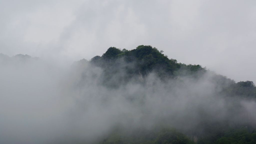 DSC01534.jpg