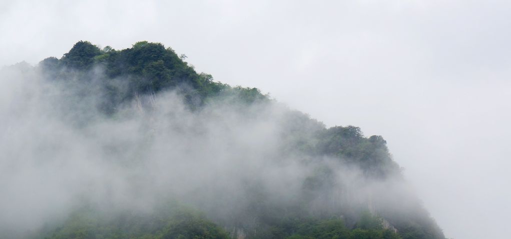DSC01535.jpg