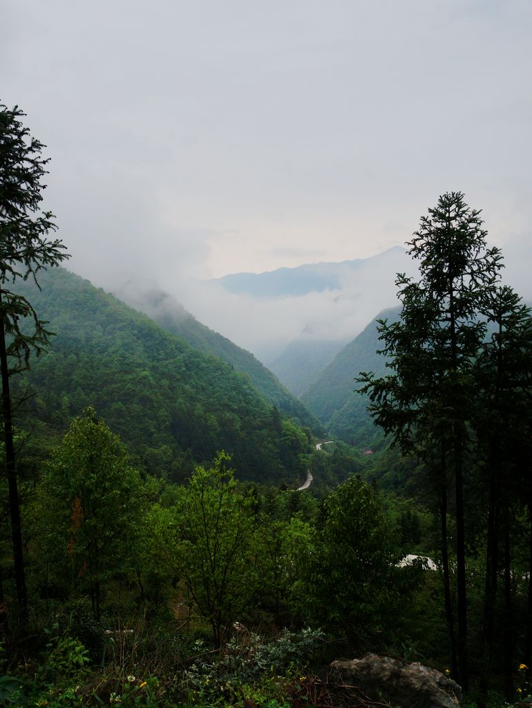 DSC01540.jpg