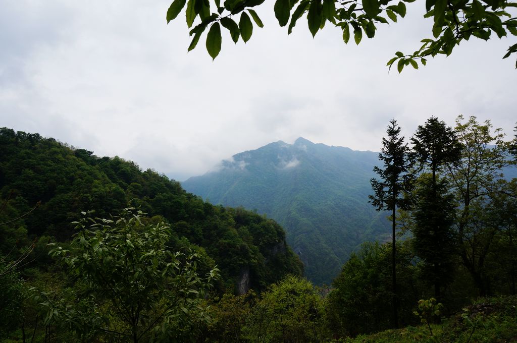 DSC01684.jpg