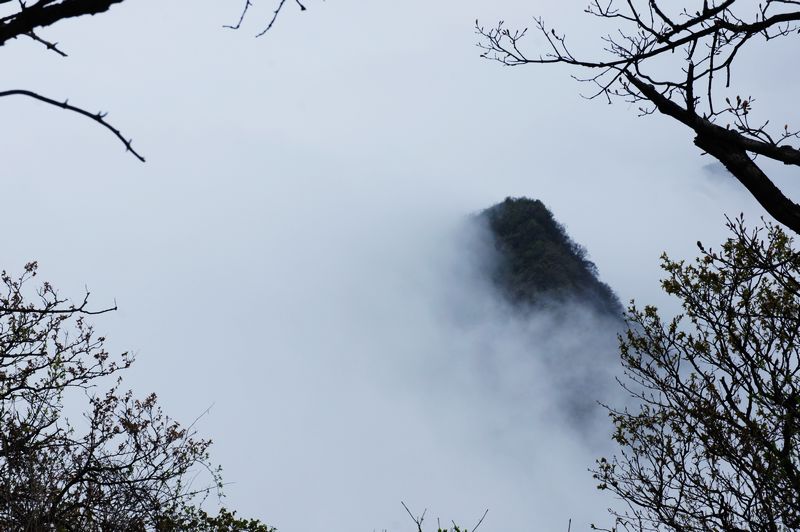 nEO_IMG_DSC03818.jpg
