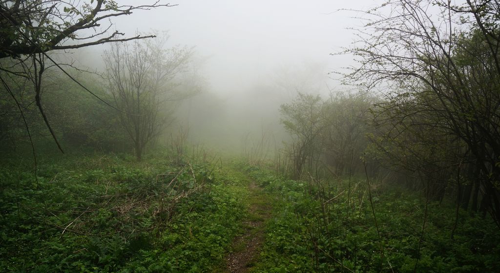 DSC01753.jpg