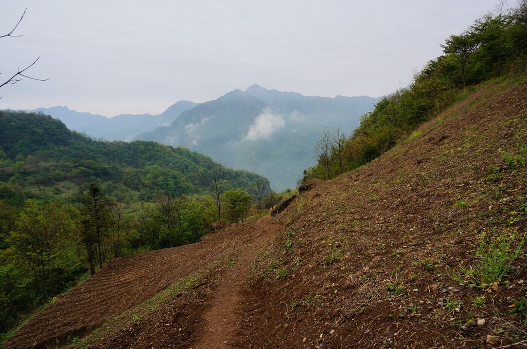 DSC01797.jpg