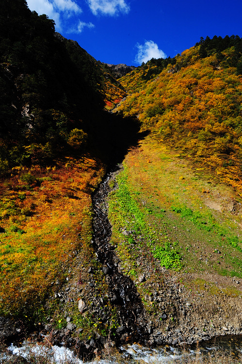 DSC_3991.JPG