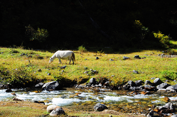 DSC_4005.JPG