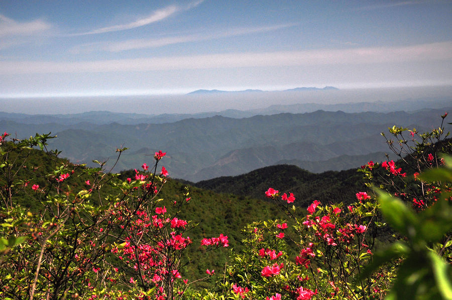 DSC_2211.JPG