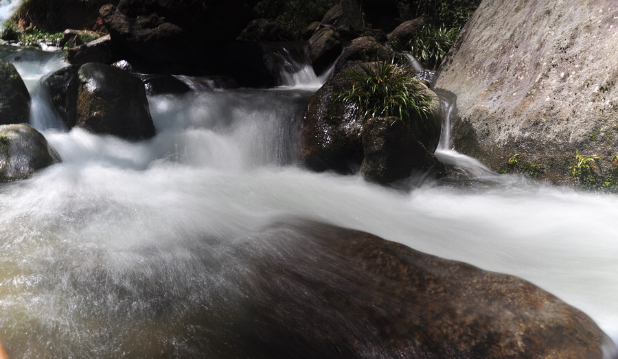 DSC_2248.JPG