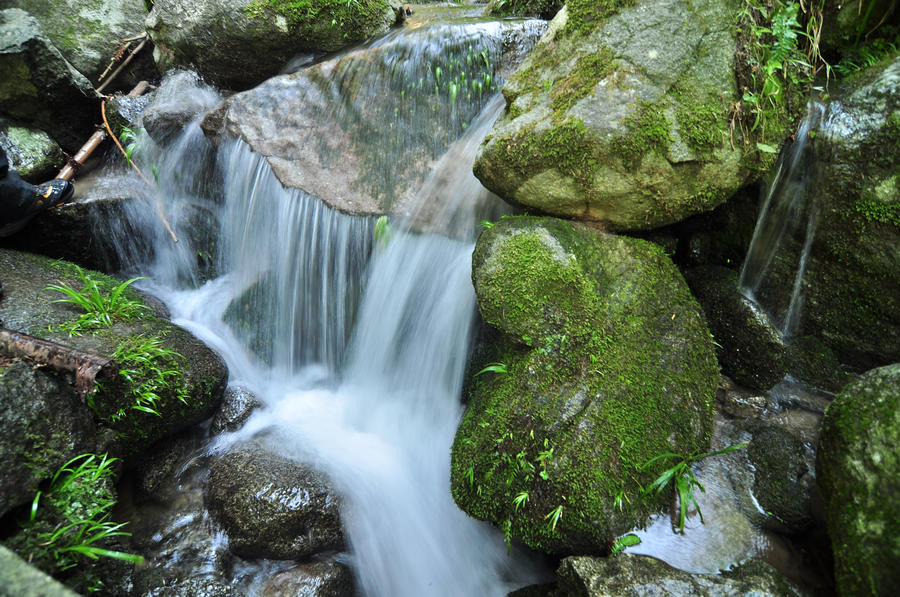 DSC_1716.JPG