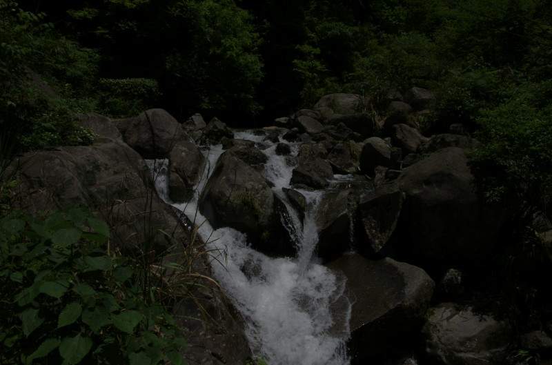 conew__igp7361.jpg