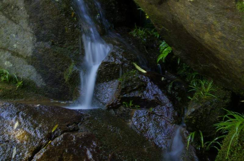 conew__igp7421.jpg