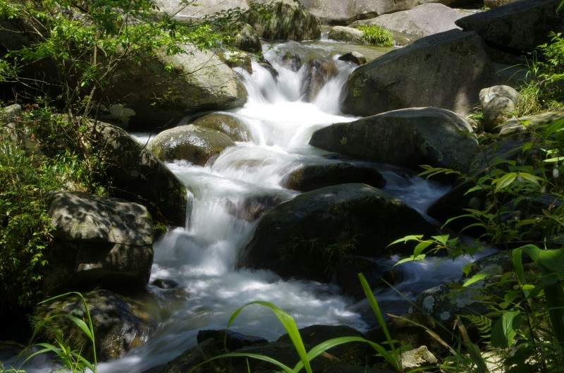conew__igp7401.jpg