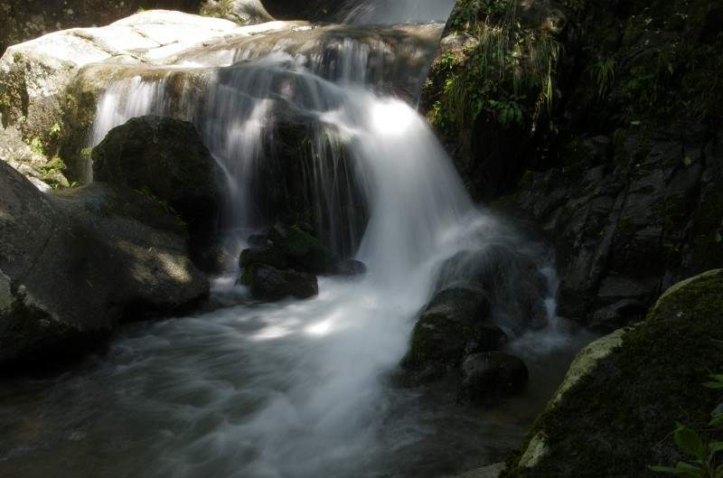 conew__igp7442.jpg