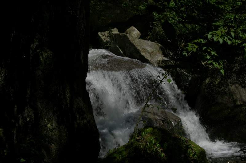 conew__igp7475.jpg