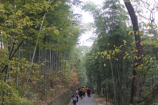 ��ɽ 439.jpg