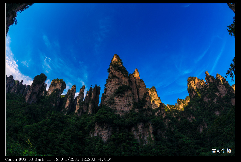 _MG_0001.jpg