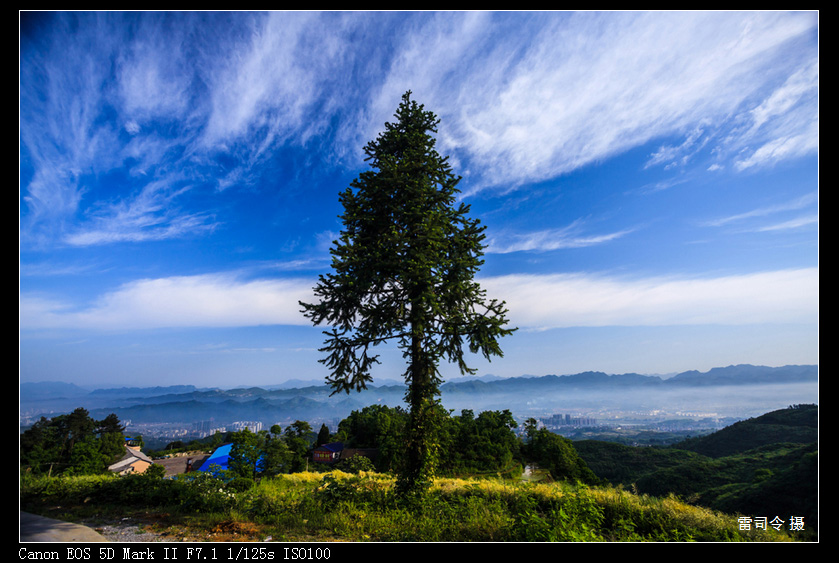 _MG_0038.jpg