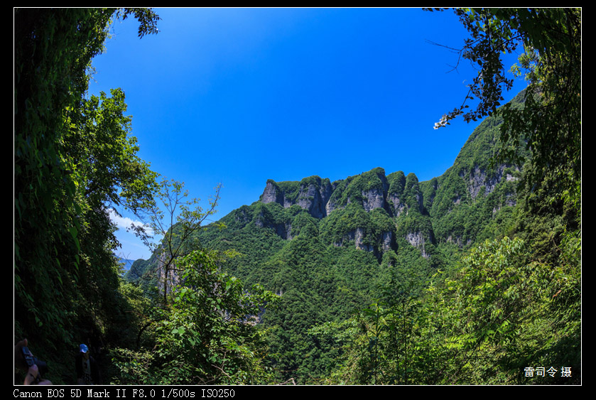 _MG_0136.jpg