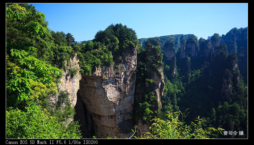 _MG_9909.jpg