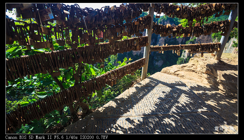 _MG_9920.jpg