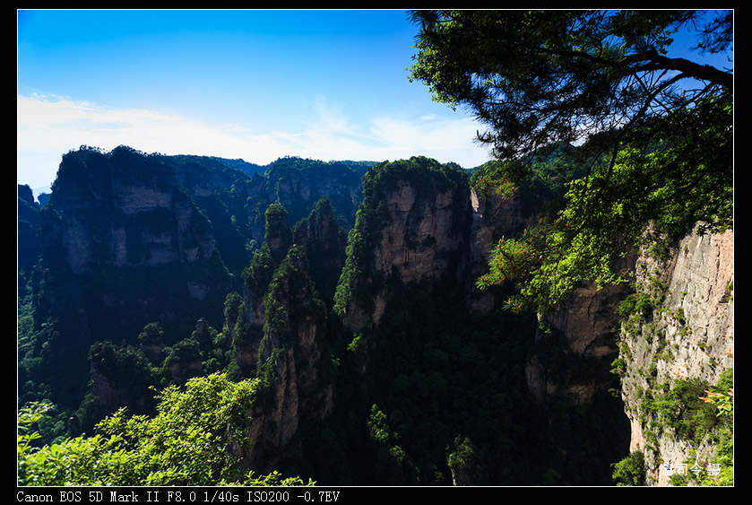 _MG_9923.jpg