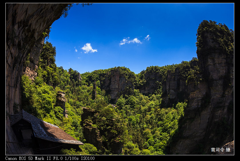 _MG_9832.jpg