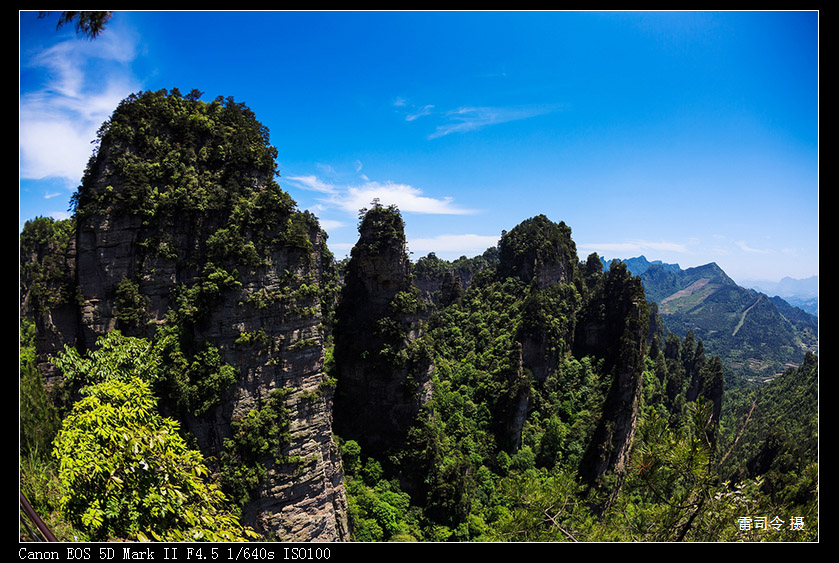 _MG_9874.jpg