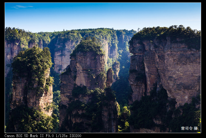 _MG_9949.jpg