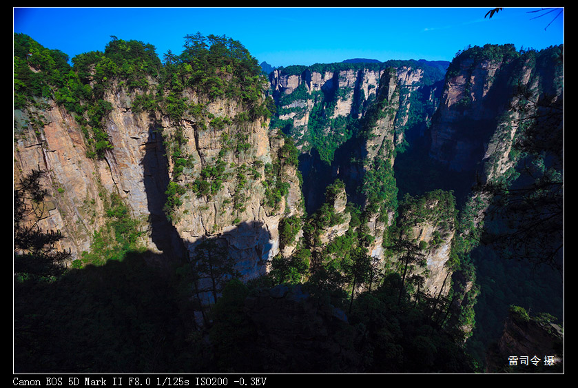_MG_9953.jpg