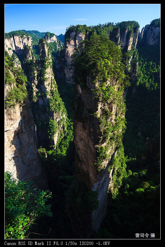 _MG_9965.jpg