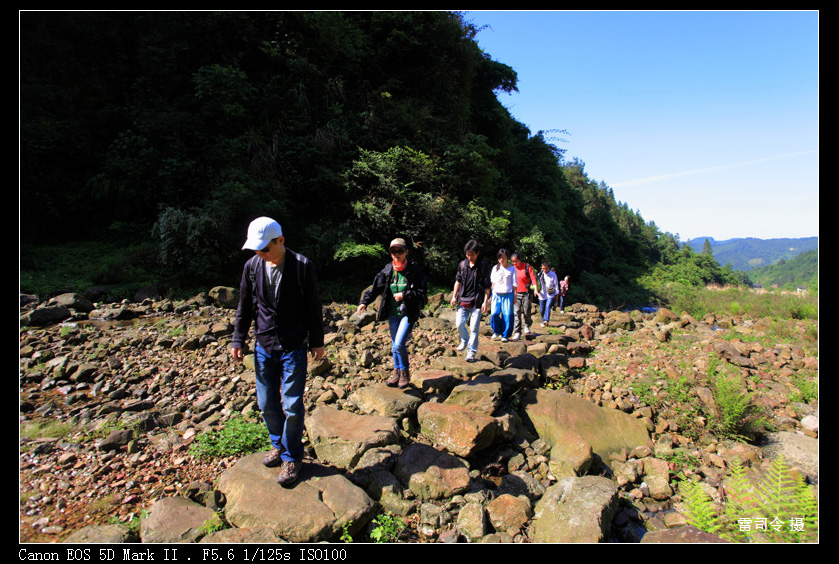 _MG_9804.JPG