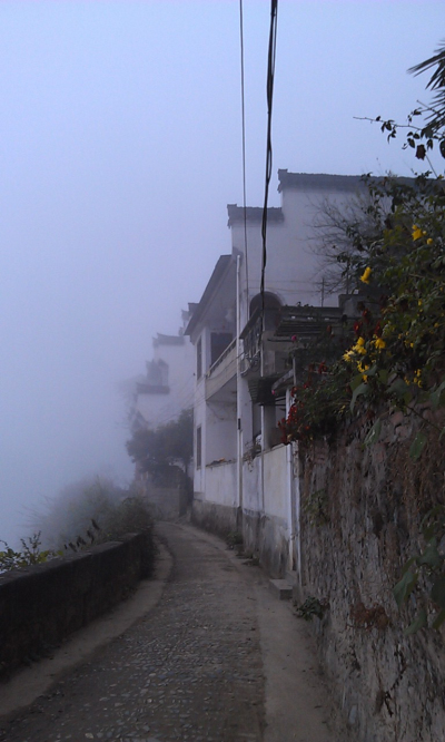 IMAG0975.jpg