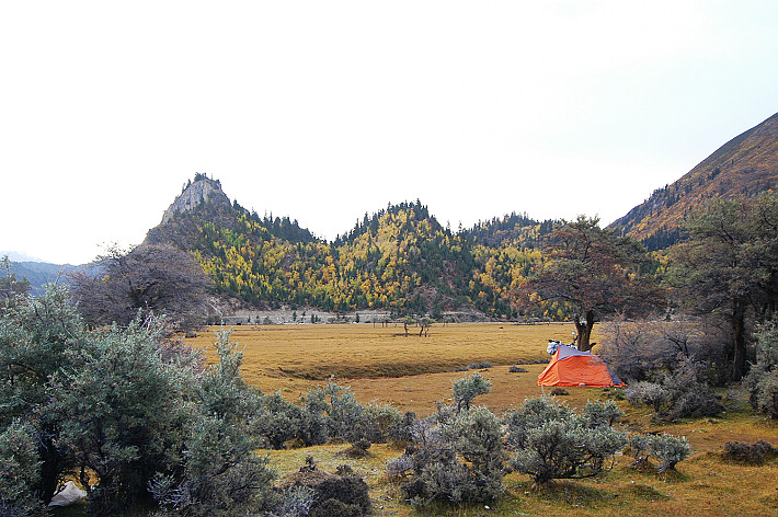 nEO_IMG_DSC_0829.jpg