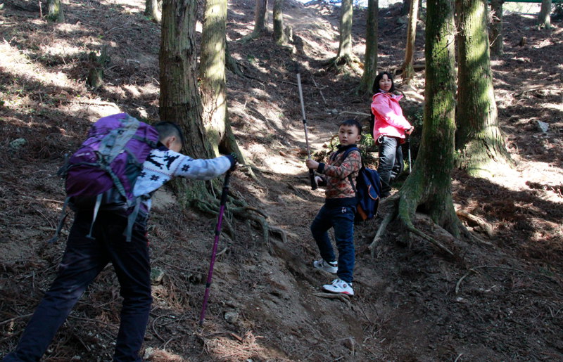 _MG_1676.jpg