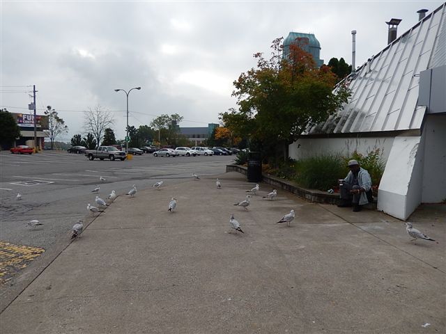 DSCN0918.JPG