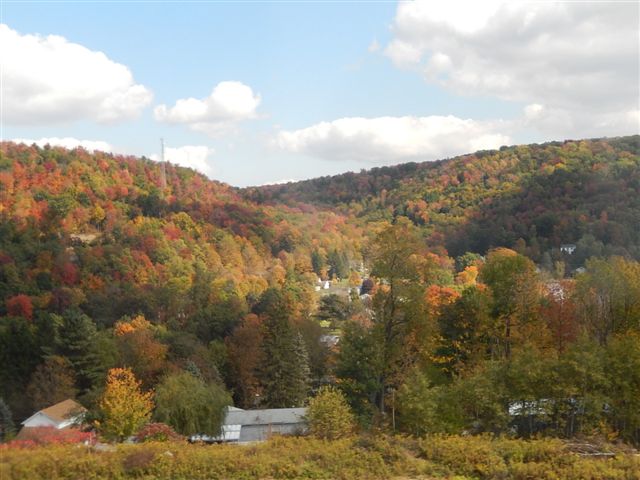 DSCN0865.JPG