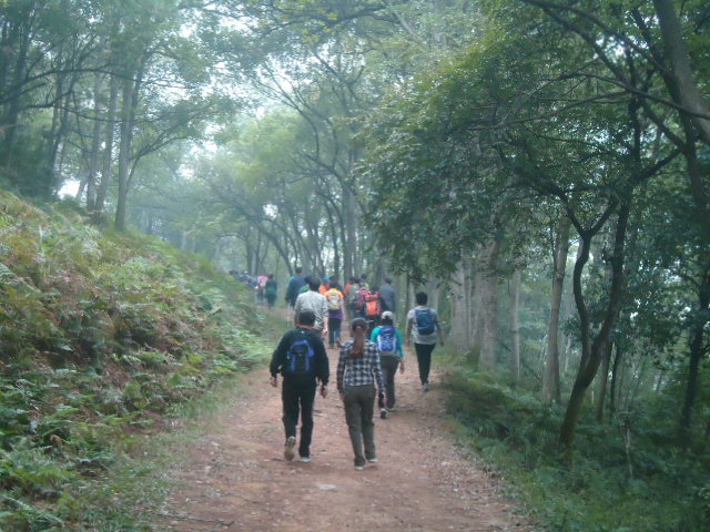 DSC00962.JPG