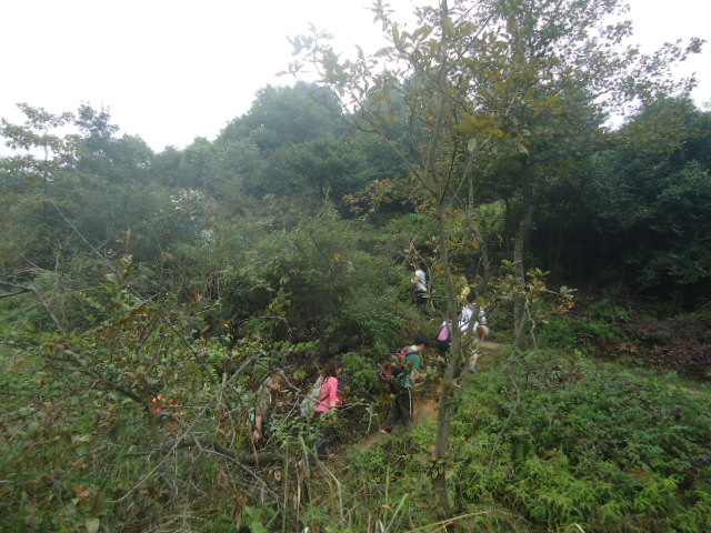 DSC00980.JPG