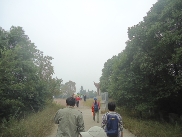 DSC00972.JPG