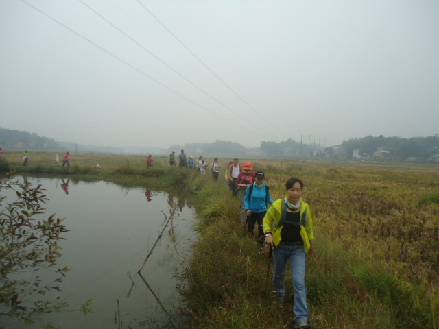 DSC00993.JPG
