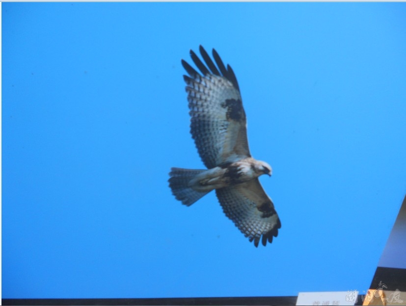 QQ��ͼ20131026163326.jpg