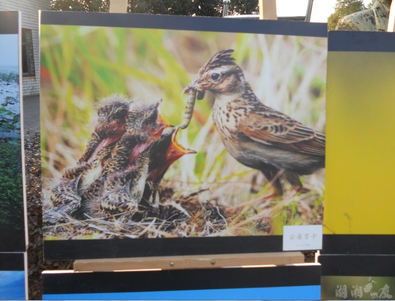 QQ��ͼ20131026163320.jpg
